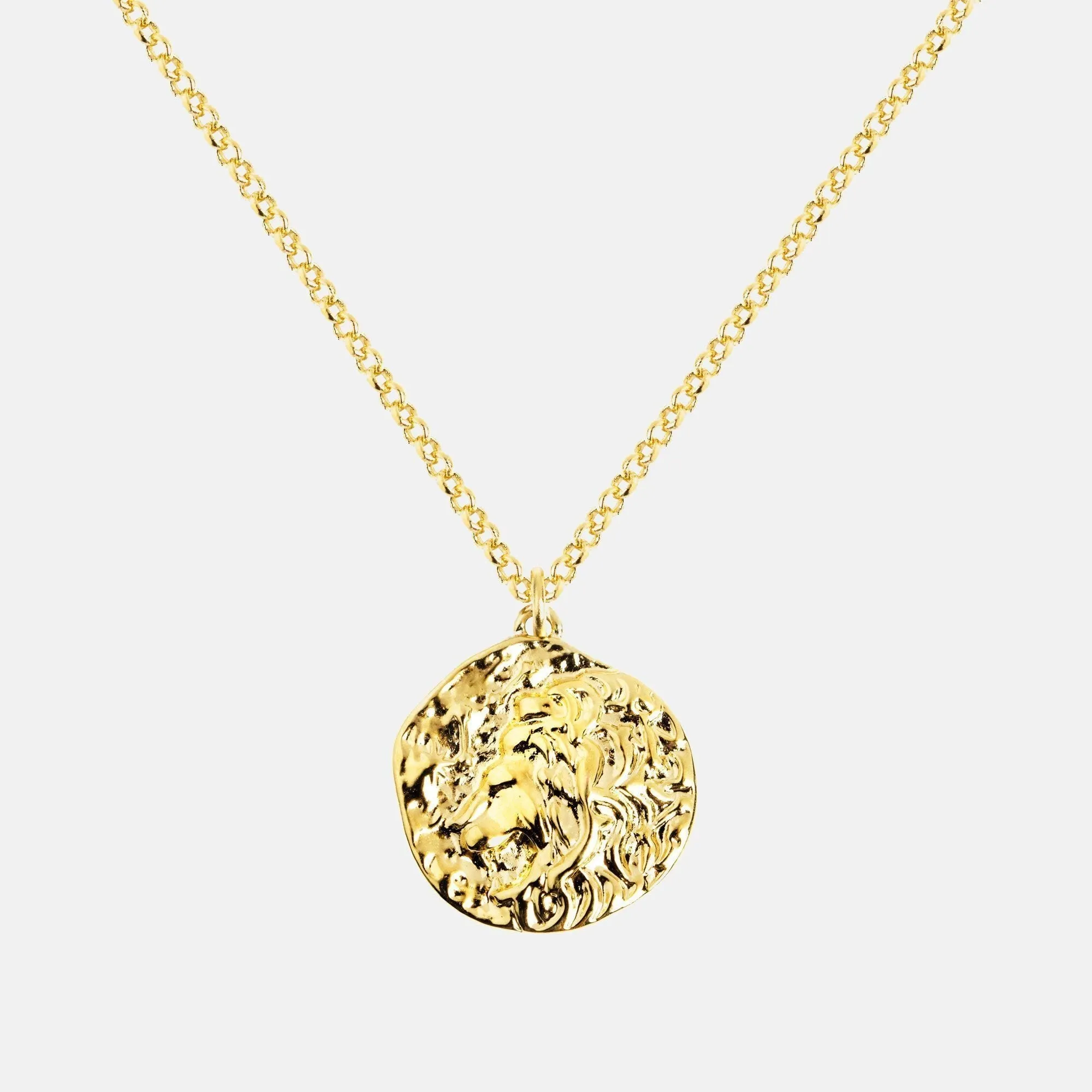 Colar Lion Medallion Gold
