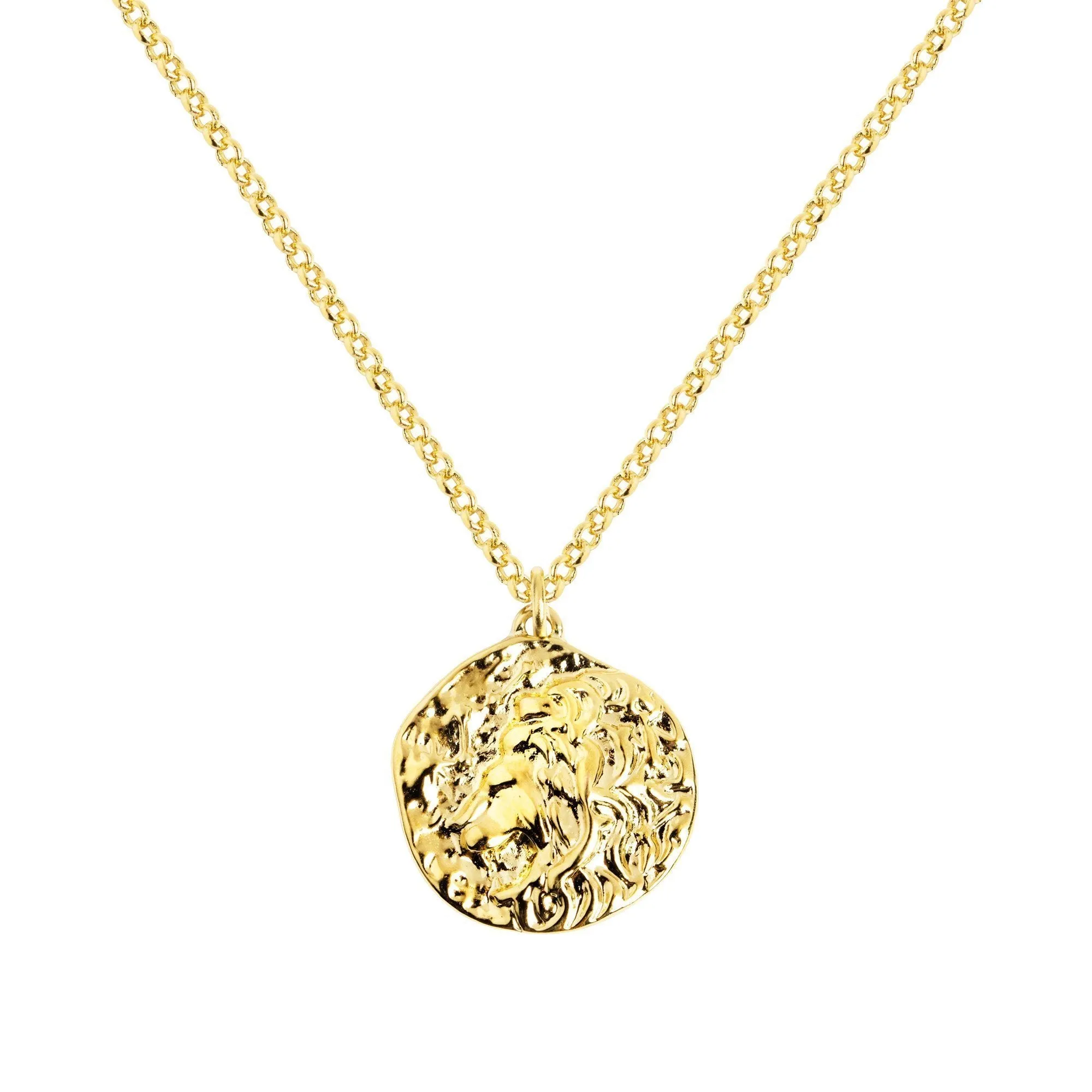 Colar Lion Medallion Gold
