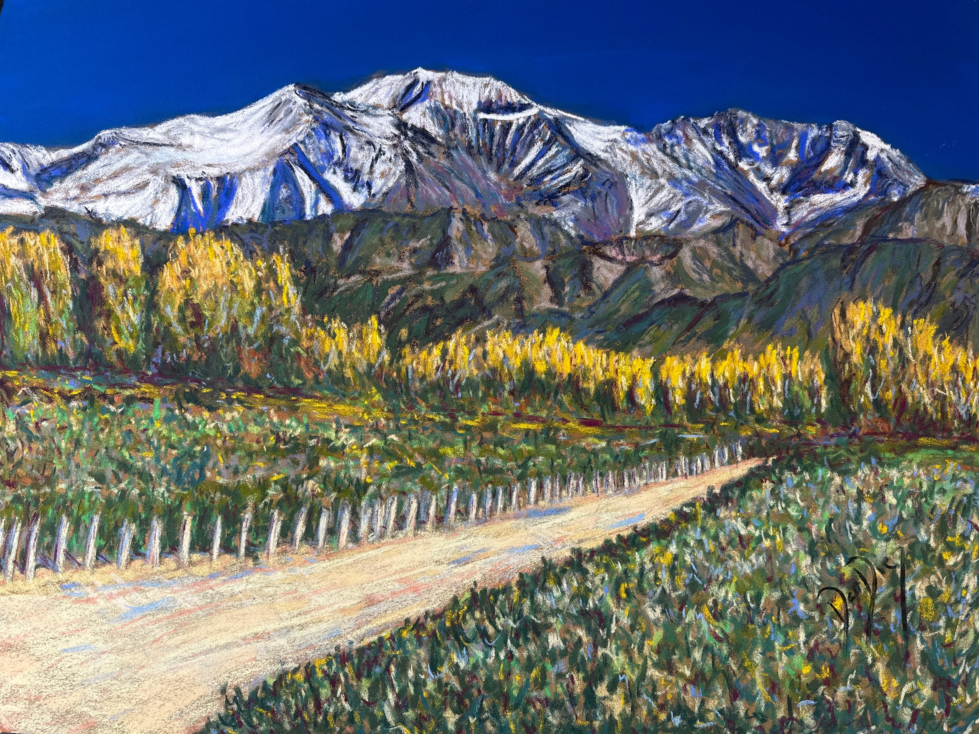 Cordón del Plata, Mendoza